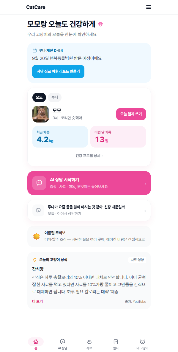 홈 — 오늘의 요약