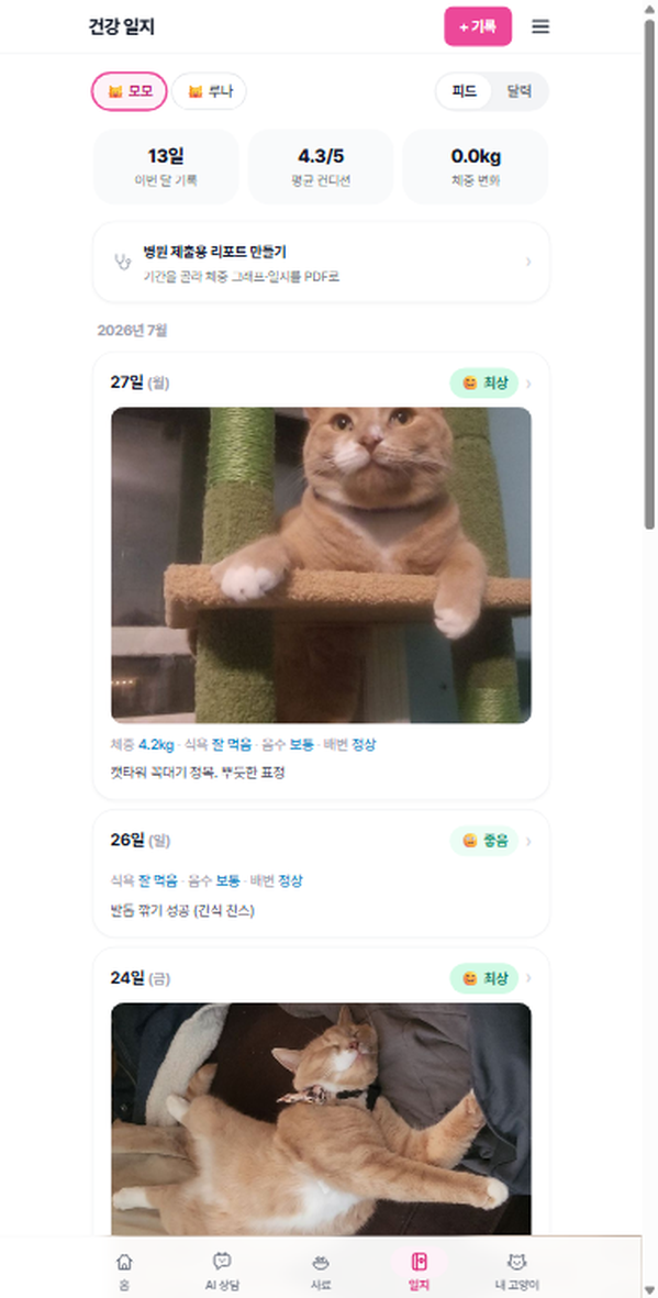 건강 일지 피드