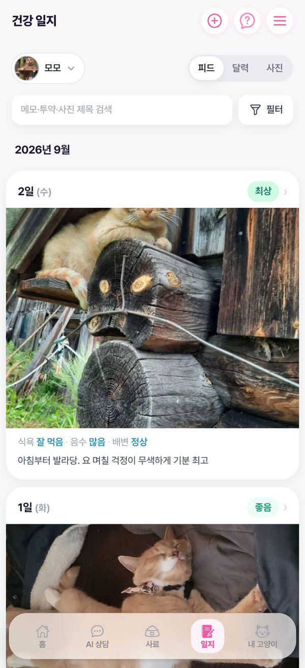 건강 일지 피드